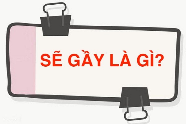 se-gay-la-gi